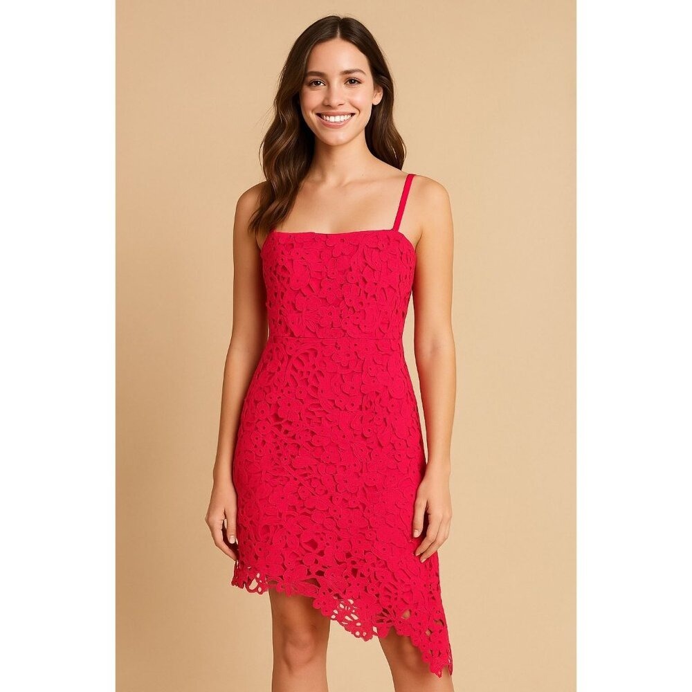 Adelyn Rae Lace Dress Large Wedding Guest Ultra Feminine Hot Pink Embroidery NWT